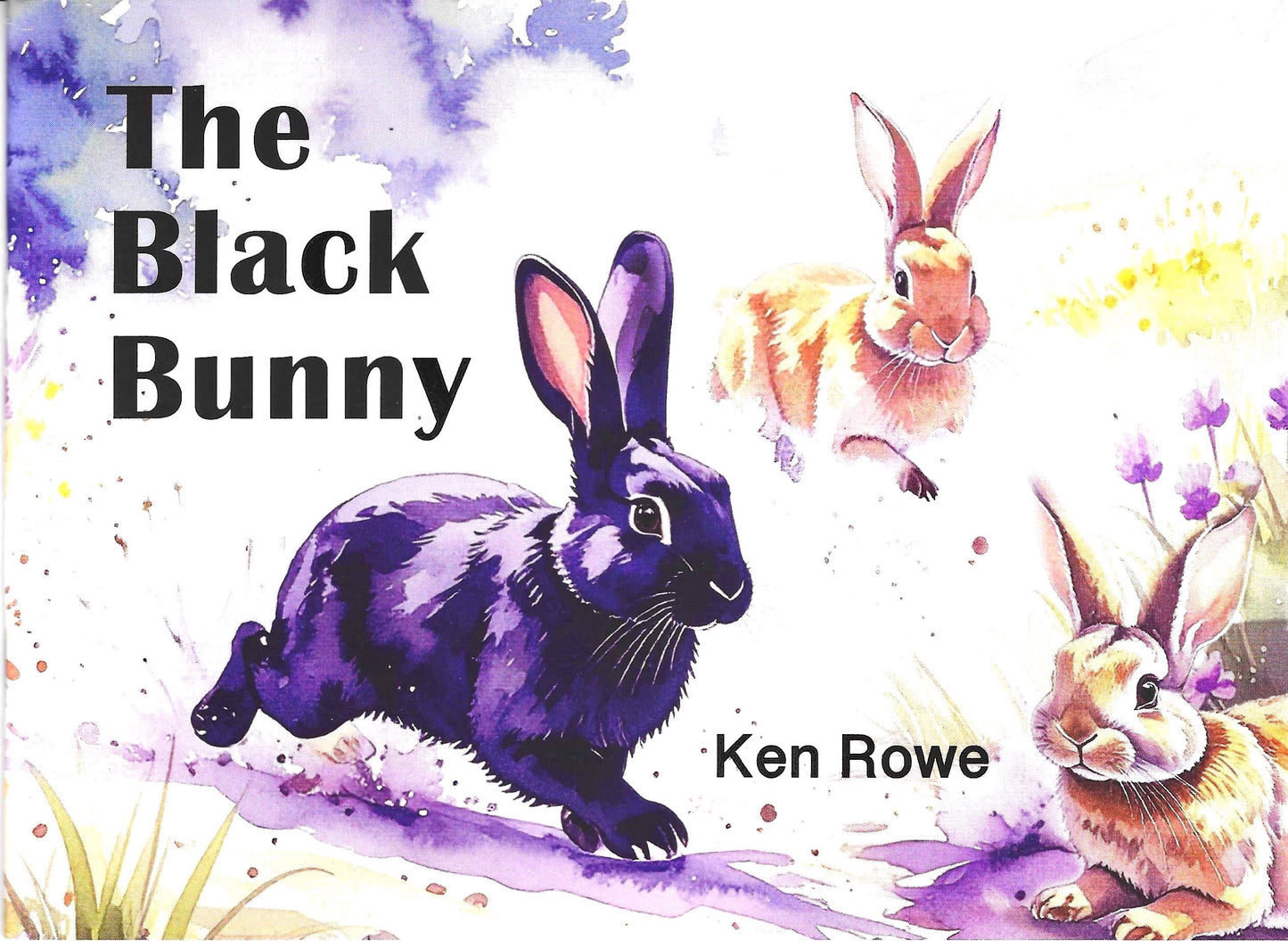 The Black Bunny Story Picture Book
